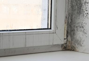 Black mould is spreading in the corner of a window frame inside a Canadian home, showing how persistent condensation and moisture cause mould on windows.