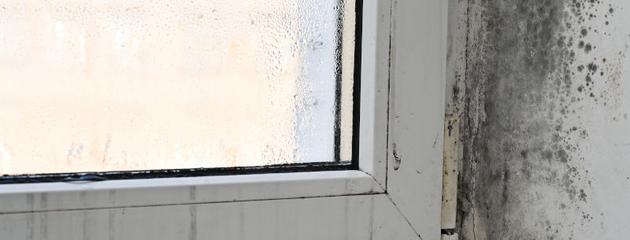 Black mould is spreading in the corner of a window frame inside a Canadian home, showing how persistent condensation and moisture cause mould on windows.