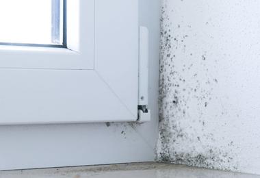 Mould on a windowsill caused by condensation and poor ventilation