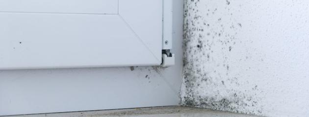 Mould on a windowsill caused by condensation and poor ventilation