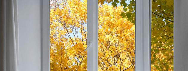 White vinyl window with autumn trees visible through the glass