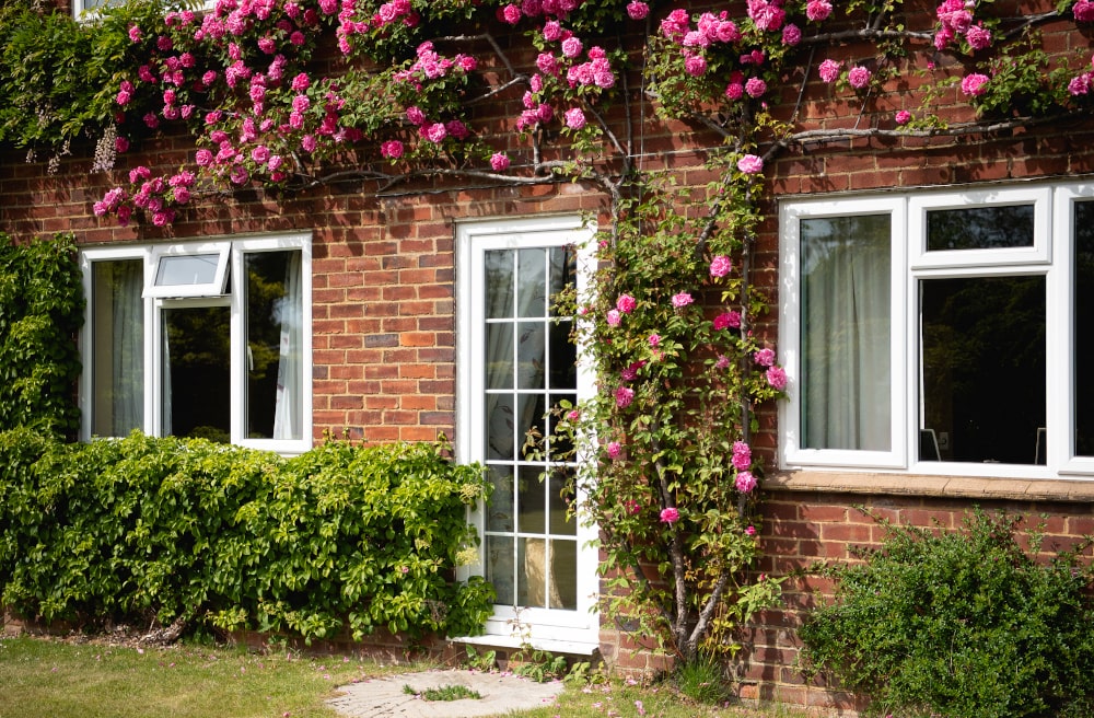 West Country cottage with whitewashed stone walls and blue casement windows featuring six-light grille patterns.