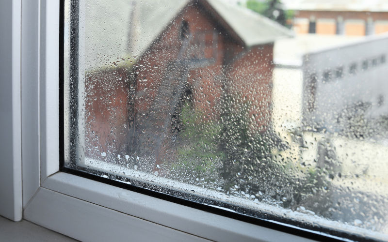 Wet window glass viewed from inside a Canadian home on a rainy day, illustrating window moisture and condensation issues.