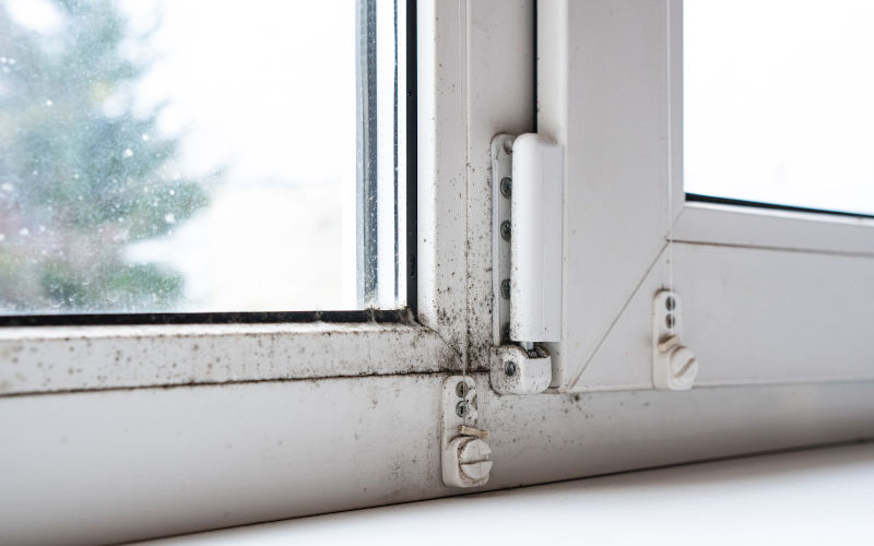 Black mould on a window frame and sill inside a Canadian house, caused by repeated condensation and poor airflow around the window.