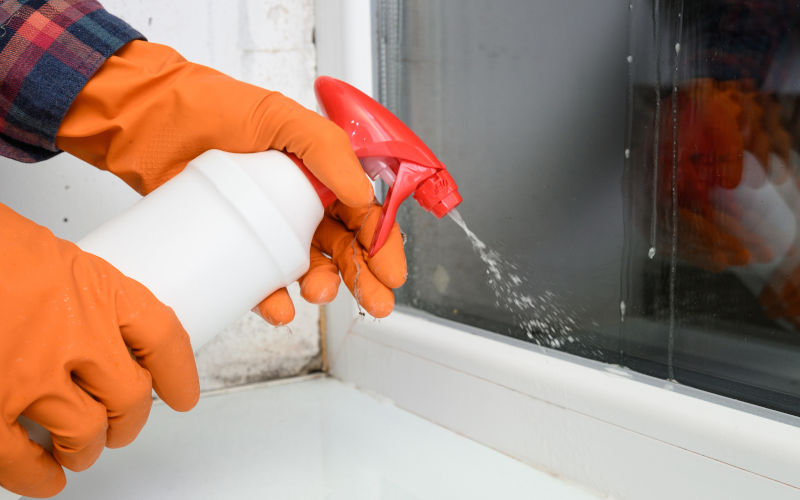 Homeowner spraying and cleaning black mould on a window frame in a Canadian home as part of safe mould removal and prevention.